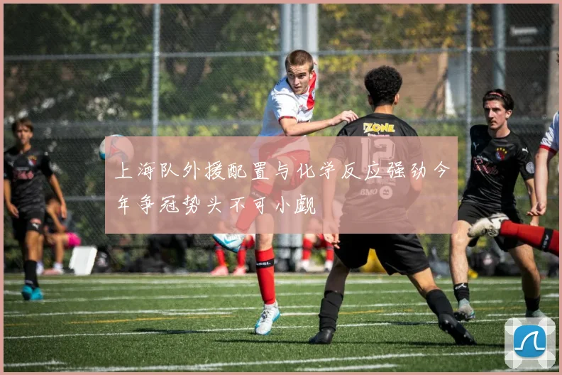 上海队外援配置与化学反应强劲今年争冠势头不可小觑