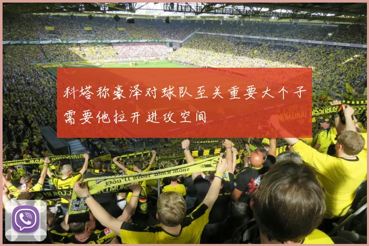 科塔称豪泽对球队至关重要大个子需要他拉开进攻空间