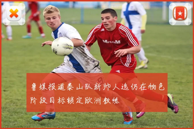 鲁媒报道泰山队新帅人选仍在物色阶段目标锁定欧洲教练